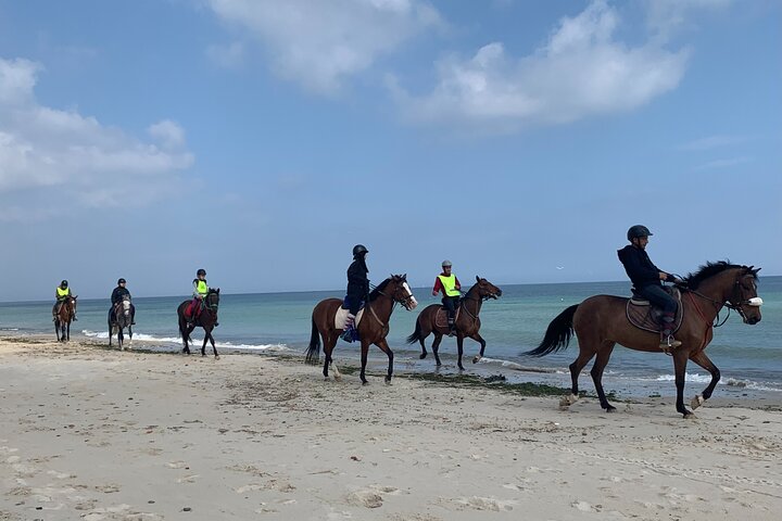 Horseback riding with private transfer