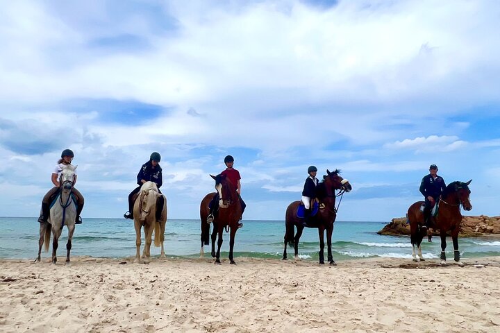 Horseback riding with private transfer