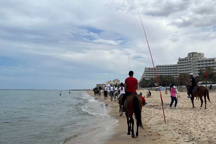 Horseback riding with private transfer