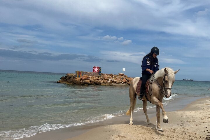 Horseback riding with private transfer