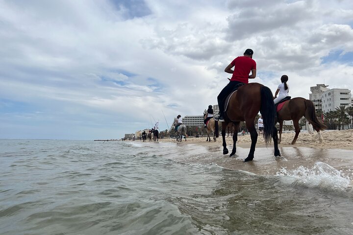 Horseback riding with private transfer