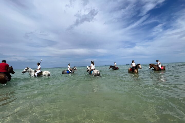 Horseback riding with private transfer