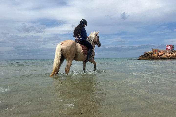Horseback riding with private transfer