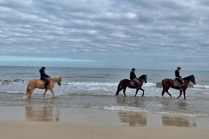 Horseback riding with private transfer