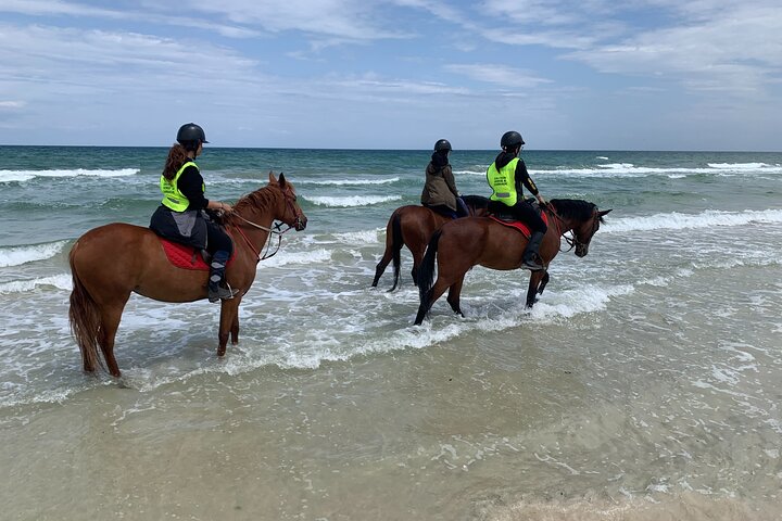 Horseback riding with private transfer