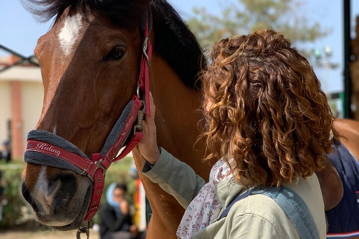 Horseback riding with private transfer