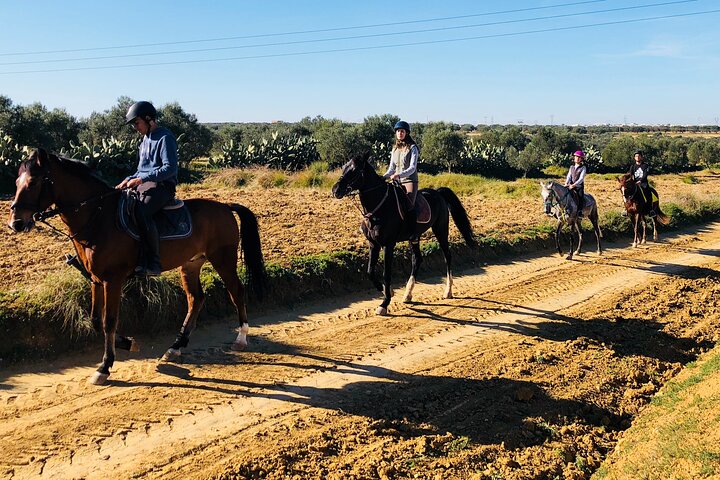 Horseback riding with private transfer