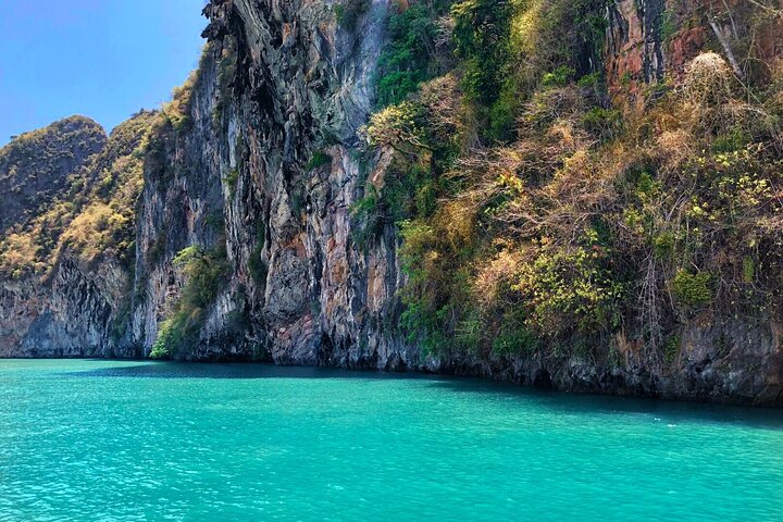 Phang Nga Bay Private Bioluminescence and Sea Canoeing Tour