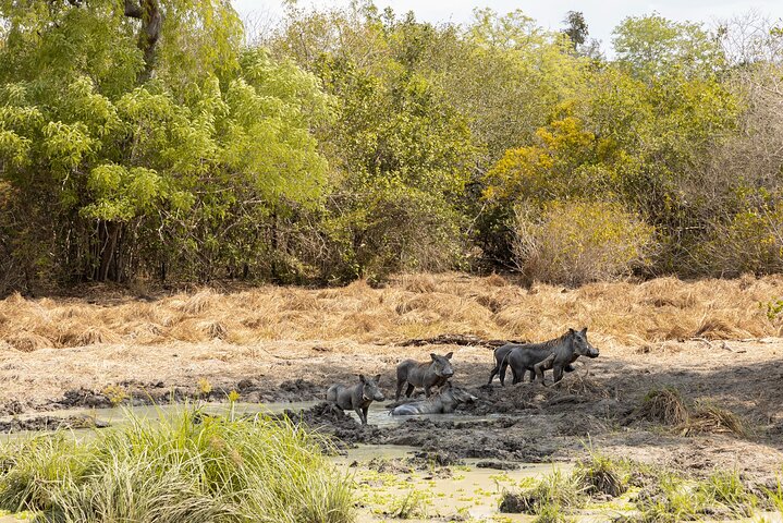 From Zanzibar : Private Full-Day Safari Selous with Flights