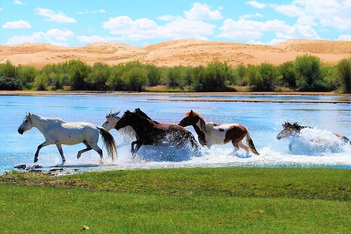 Semi-Gobi and Kharkhorum overnight private trip