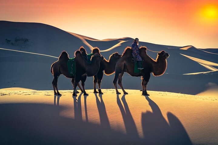Semi-Gobi and Kharkhorum overnight private trip