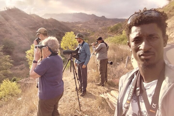 Bird Observation in Cape Verde