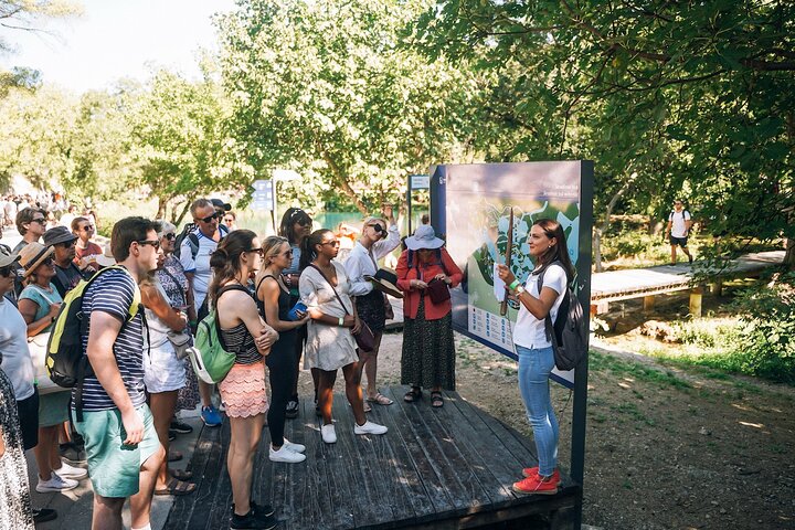 From Split: Krka Waterfalls, Food & Wine Tasting Tour