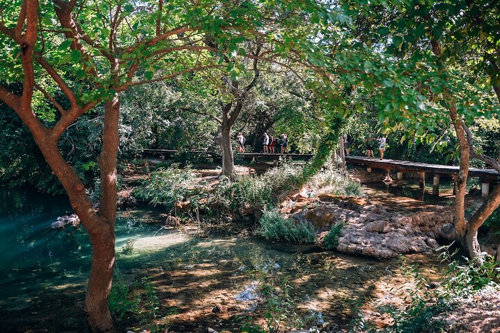 From Split: Krka Waterfalls, Food & Wine Tasting Tour
