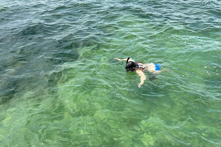 3 Hours Snorkeling Excursion in South Padre Island