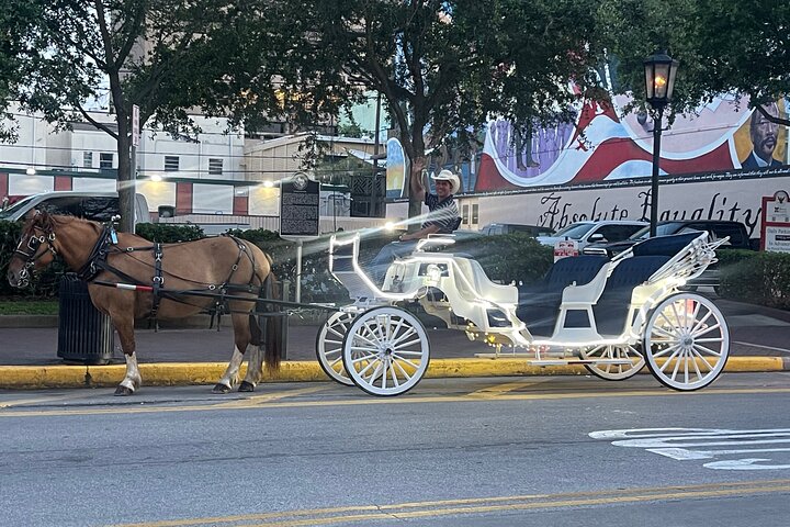 Private Carriage Tour of Galveston