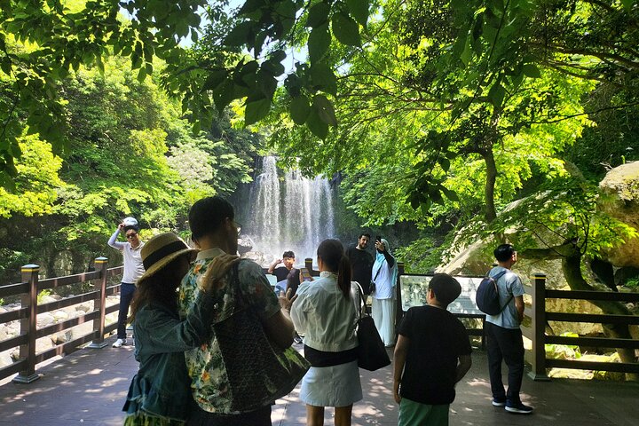 Private Day Tour in South and West in Jeju Island