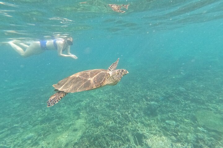 Tioman Coral Island Snorkeling and Island Hopping Tour