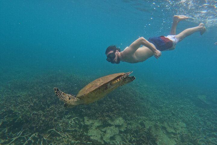 Tioman Coral Island Snorkeling and Island Hopping Tour