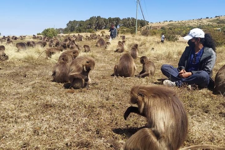 6 Days Trekking Simien Mountains Ras Dashen