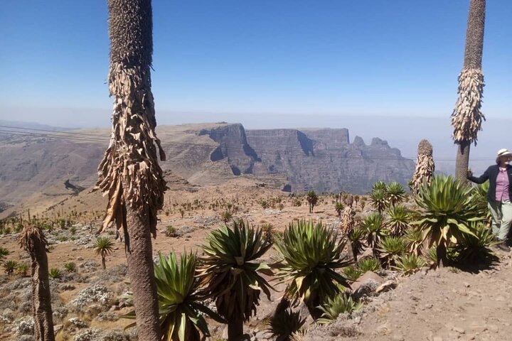 6 Days Trekking Simien Mountains Ras Dashen