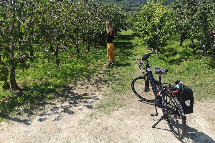 Self Guided E-Bike Tour among the Palladian Villas of Vicenza