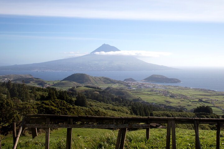 Full Day Private Trip Faial
