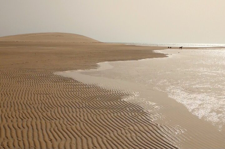 Private Dune and Secret Spot Tour in Dakhla