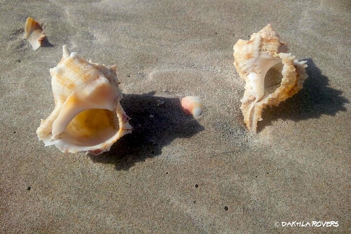 Private Dune and Secret Spot Tour in Dakhla
