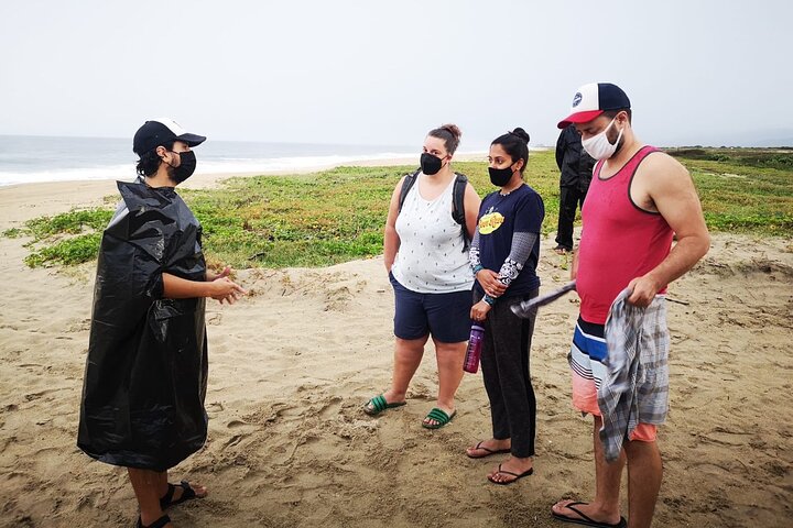 Olive Ridley Turtle Release Experience