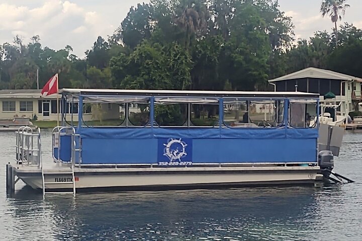 See Crystal River - Mantee & Wildlife Viewing Cruise