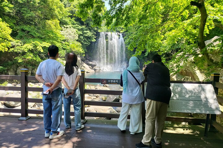Private Day tour East & south & west of All area in jeju island