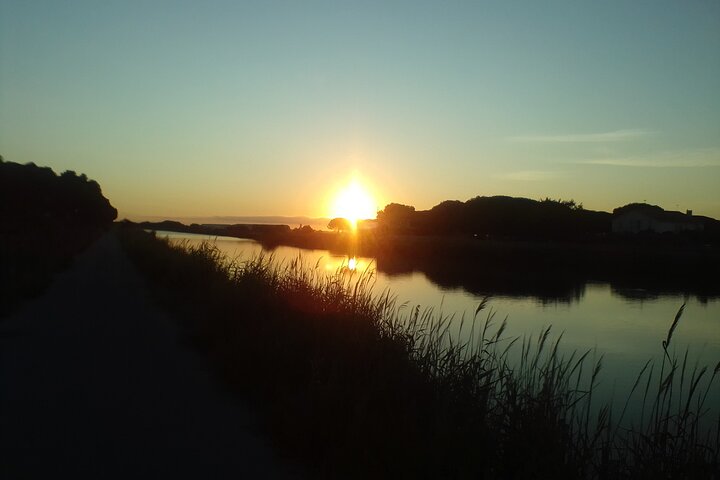Happy tour camargue visit, ride, electric bike excursion
