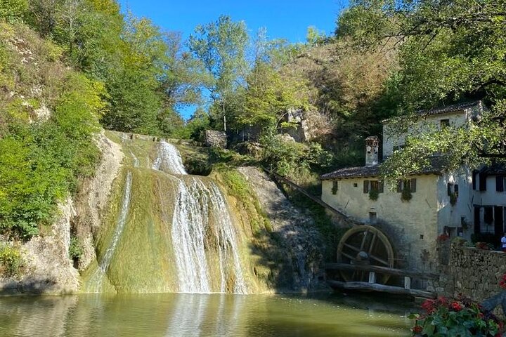 All inclusive Private Prosecco Hills Tour - 2 Wineries and Lunch.