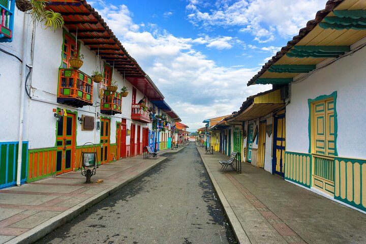 Cocora Valley, Salento and Coffee Farm Day Tour