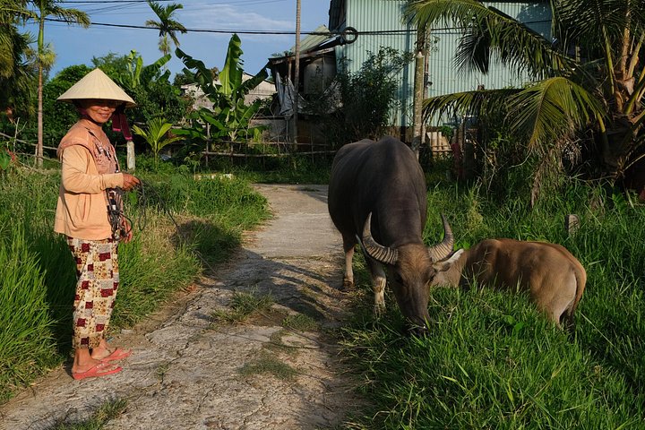 Hoi An Countryside Jeep Tour: Food, Culture & Daily Life