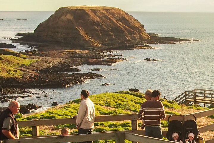 Puffing Billy And Phillip Island Penguin Parade Bus Tour