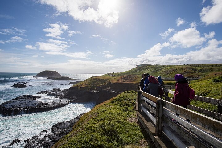 Puffing Billy And Phillip Island Penguin Parade Bus Tour