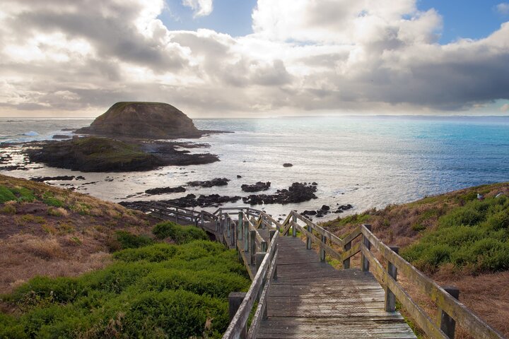 Puffing Billy And Phillip Island Penguin Parade Bus Tour