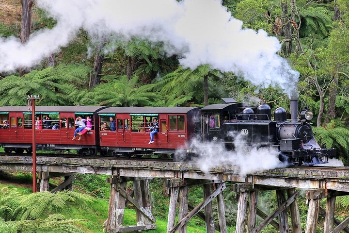 Puffing Billy And Phillip Island Penguin Parade Bus Tour