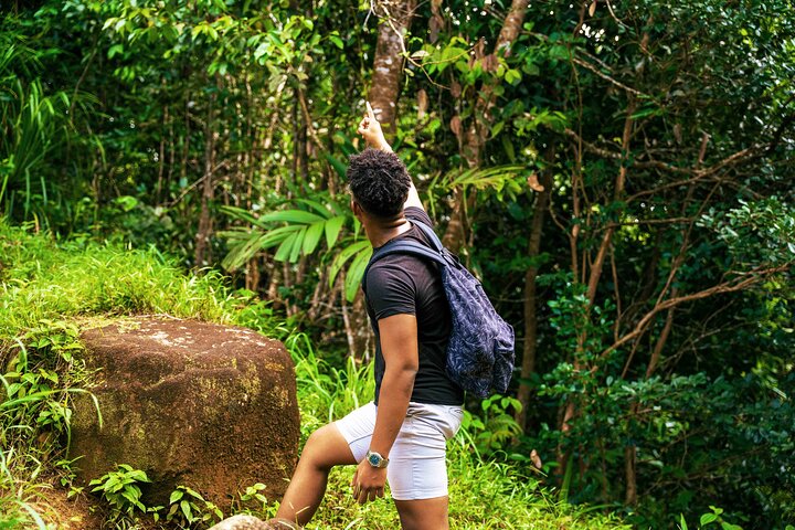 Nature trail - Morne Blanc (Mahe)