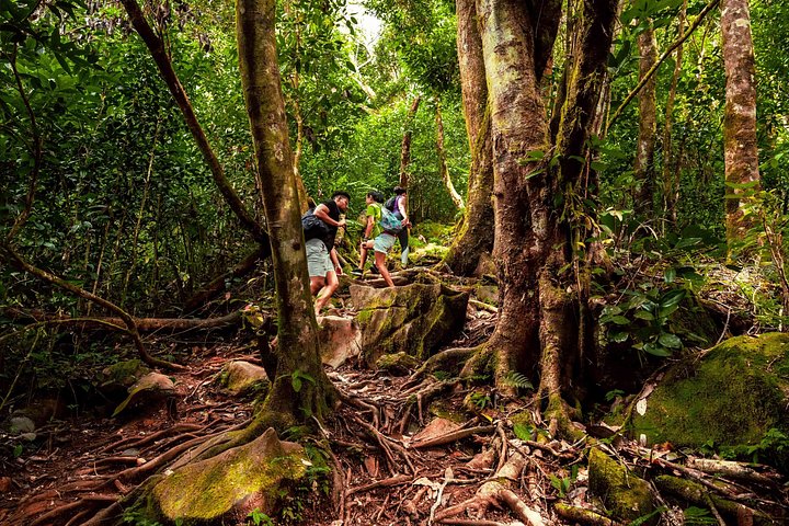 Nature trail - Morne Blanc (Mahe)