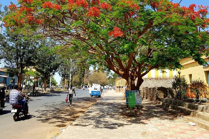 Axum (Aksum) City Tour