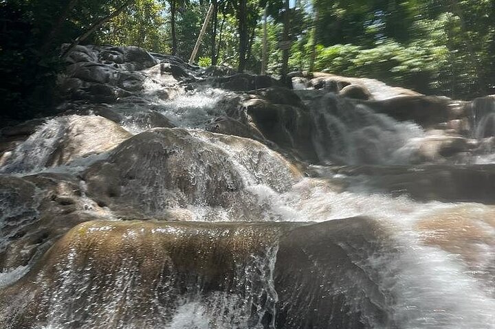Ocho Rios Blue Hole and Dunn's River Falls Tour