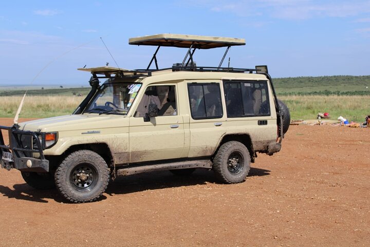 Private Game Drive in Maasai Mara