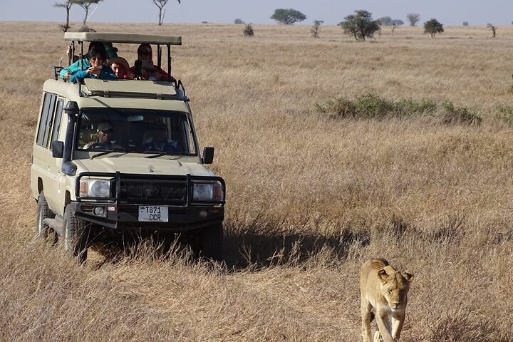 Private Game Drive in Maasai Mara