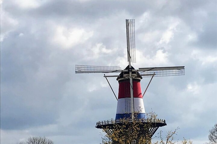 Leiden Tour with Live guide and Visit to Rembrandt's First Studio