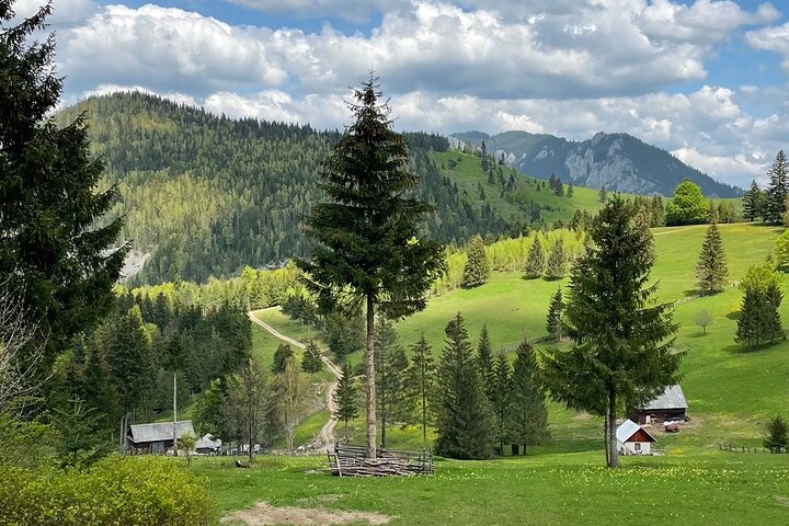 Adventure day trip from Iasi | Hiking in the Carpathian Mountains
