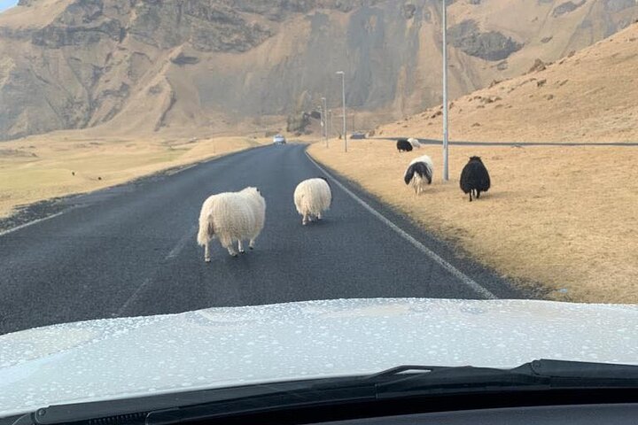 PRIVATE 2-Hours Tour - Westman Islands with a local in a BMW X5