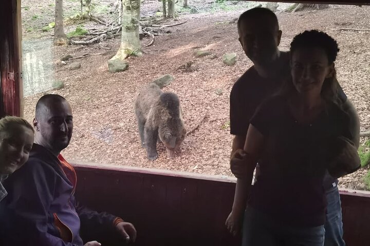 Watching Brown Bear from hideout/ Guarantee you'll see wild Bears
